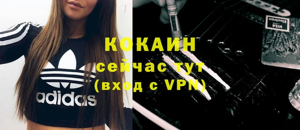 ГАЛЛЮЦИНОГЕННЫЕ ГРИБЫ Фёдоровский