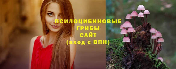 альфа пвп Краснотурьинск