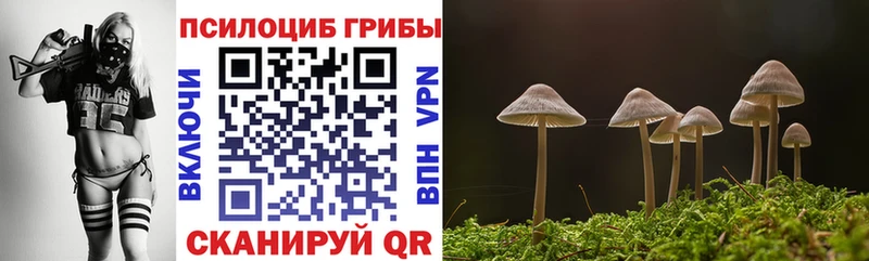 Галлюциногенные грибы мухоморы  Фатеж 
